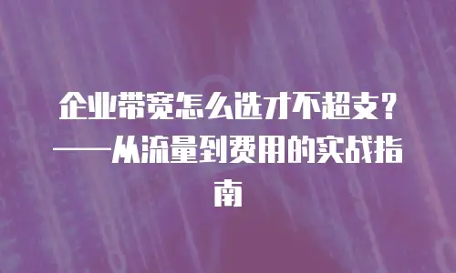 企业带宽怎么选才不超支？&mdash;&mdash;从流量到费用的实战指南