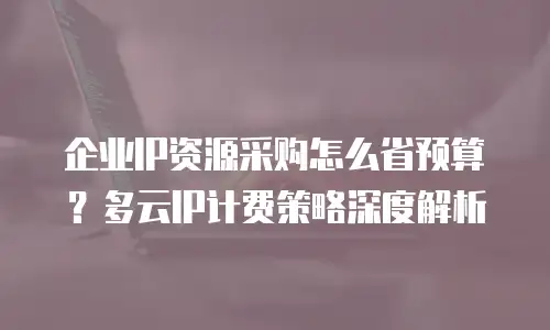 企业IP资源采购怎么省预算？多云IP计费策略深度解析