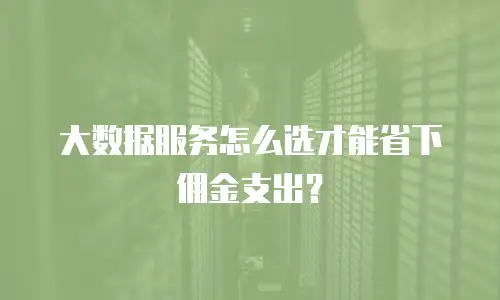 大数据服务怎么选才能省下佣金支出？