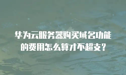 华为云服务器购买域名功能的费用怎么算才不超支？