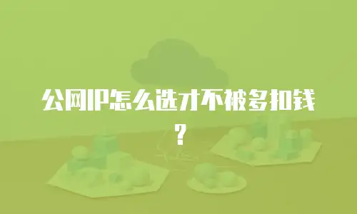 公网IP怎么选才不被多扣钱？
