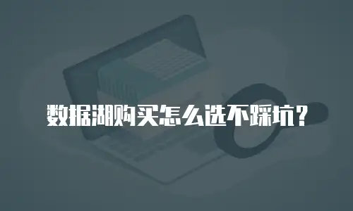 数据湖购买怎么选不踩坑？