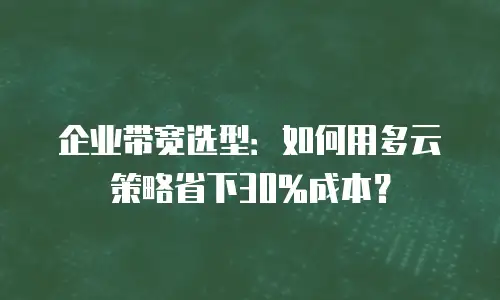 企业带宽选型：如何用多云策略省下30%成本？