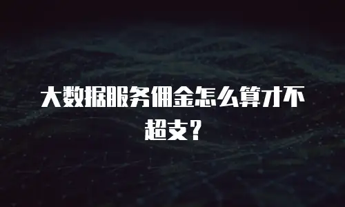大数据服务佣金怎么算才不超支？