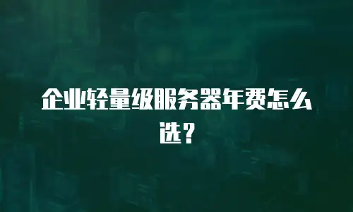 企业轻量级服务器年费怎么选？