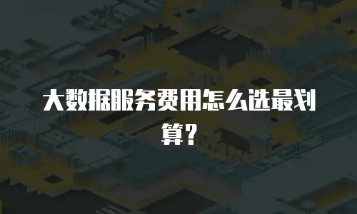 大数据服务费用怎么选最划算？