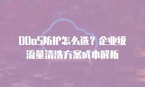 DDoS防护怎么选？企业级流量清洗方案成本解析