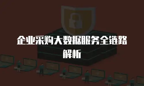企业采购大数据服务全链路解析