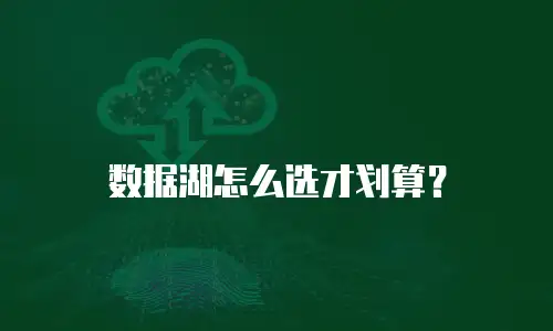 数据湖怎么选才划算？