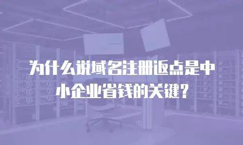 为什么说域名注册返点是中小企业省钱的关键？