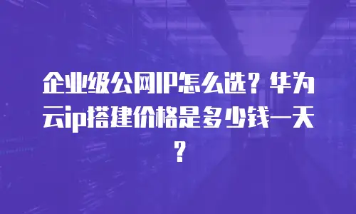企业级公网IP怎么选？华为云ip搭建价格是多少钱一天？