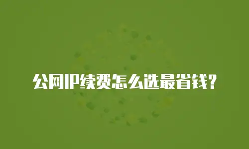 公网IP续费怎么选最省钱？