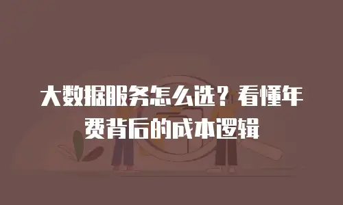 大数据服务怎么选？看懂年费背后的成本逻辑