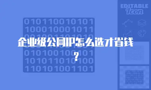 企业级公网IP怎么选才省钱？