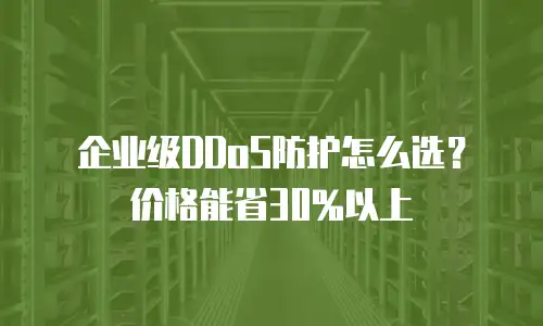 企业级DDoS防护怎么选？价格能省30%以上