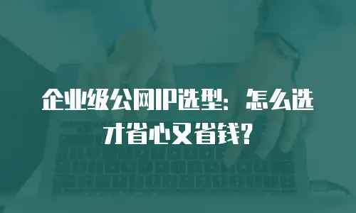 企业级公网IP选型：怎么选才省心又省钱？