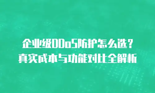 企业级DDoS防护怎么选？真实成本与功能对比全解析