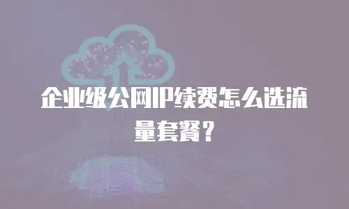 企业级公网IP续费怎么选流量套餐？