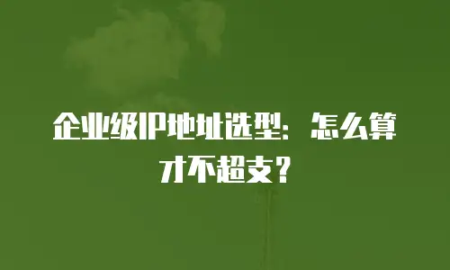 企业级IP地址选型：怎么算才不超支？