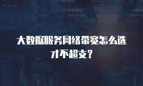 大数据服务网络带宽怎么选才不超支？