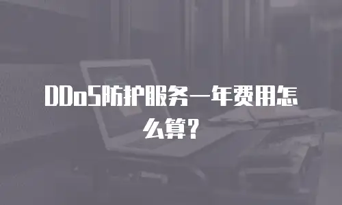 DDoS防护服务一年费用怎么算？