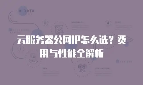 云服务器公网IP怎么选？费用与性能全解析