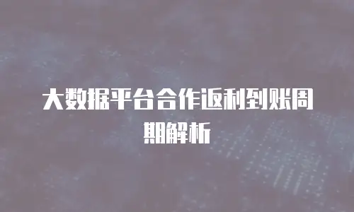 大数据平台合作返利到账周期解析