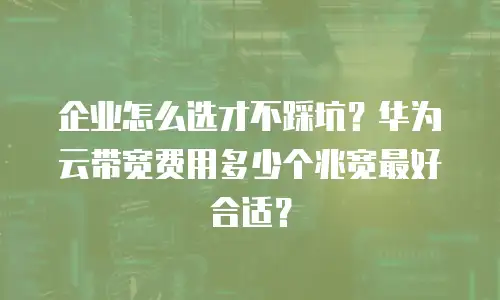企业怎么选才不踩坑？华为云带宽费用多少个兆宽最好合适？