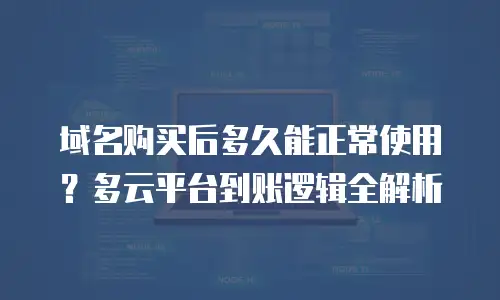 域名购买后多久能正常使用？多云平台到账逻辑全解析