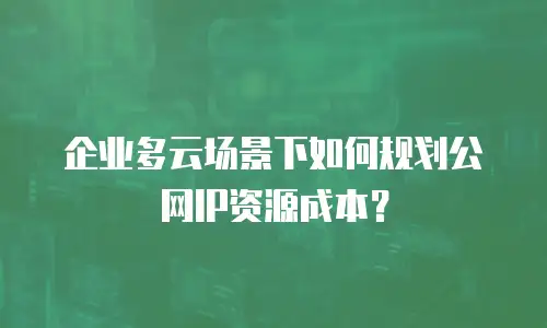 企业多云场景下如何规划公网IP资源成本？