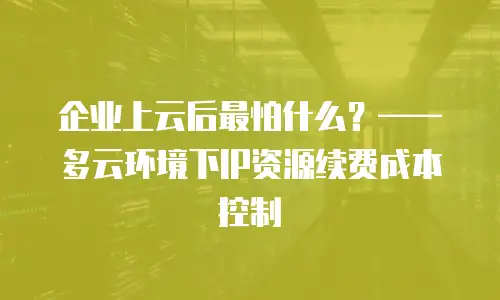 企业上云后最怕什么？&mdash;&mdash;多云环境下IP资源续费成本控制