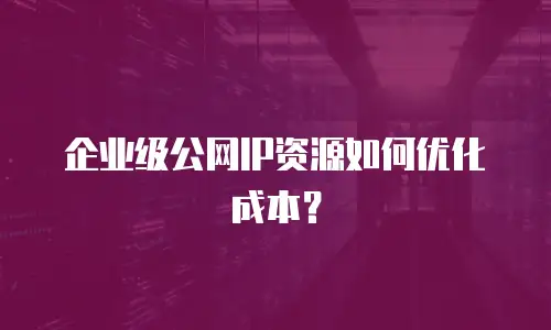 企业级公网IP资源如何优化成本？