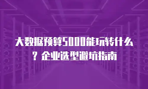 大数据预算5000能玩转什么？企业选型避坑指南