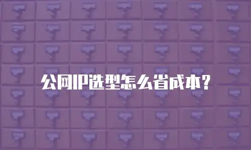 公网IP选型怎么省成本？