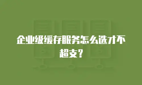 企业级缓存服务怎么选才不超支？