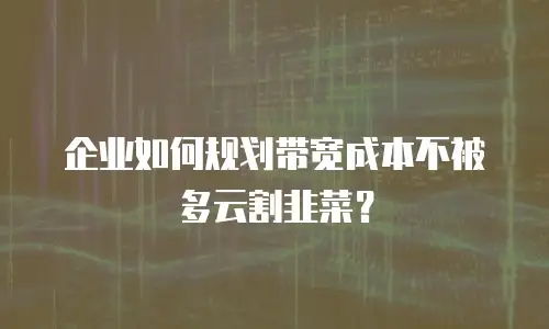 企业如何规划带宽成本不被多云割韭菜？