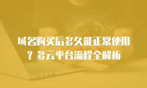 域名购买后多久能正常使用？多云平台流程全解析