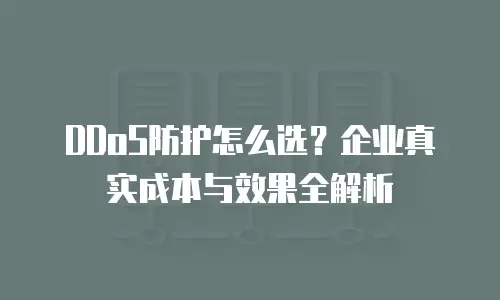 DDoS防护怎么选？企业真实成本与效果全解析