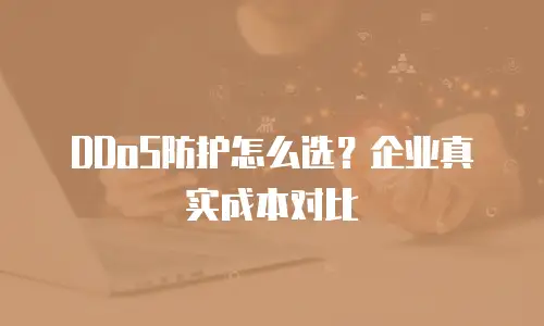 DDoS防护怎么选？企业真实成本对比