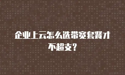 企业上云怎么选带宽套餐才不超支？