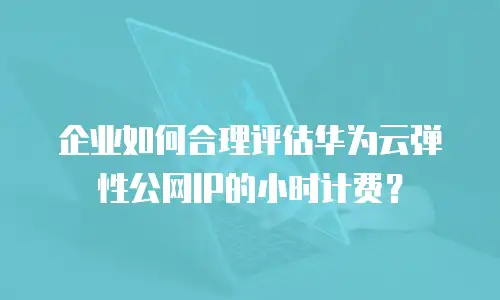 企业如何合理评估华为云弹性公网IP的小时计费？