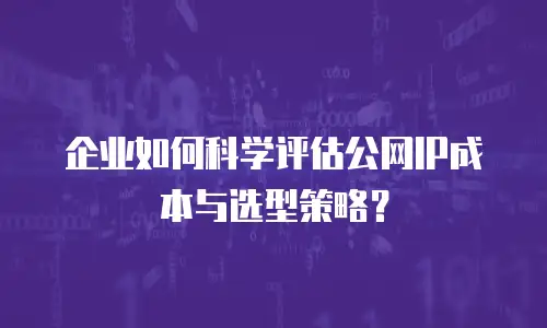 企业如何科学评估公网IP成本与选型策略？