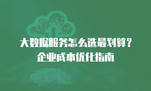 大数据服务怎么选最划算？企业成本优化指南