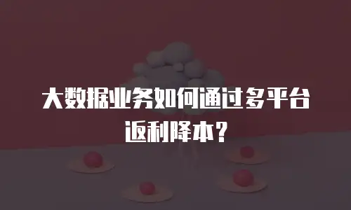 大数据业务如何通过多平台返利降本？