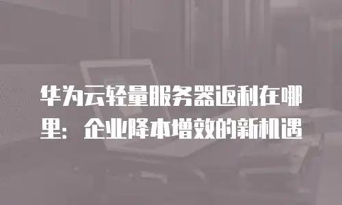 华为云轻量服务器返利在哪里：企业降本增效的新机遇