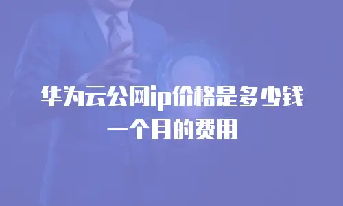 华为云公网ip价格是多少钱一个月的费用