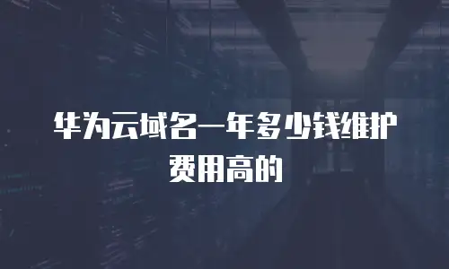 华为云域名一年多少钱维护费用高的