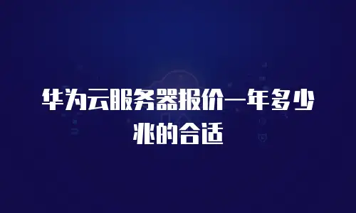 华为云服务器报价一年多少兆的合适