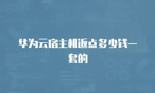 华为云宿主机返点多少钱一套的