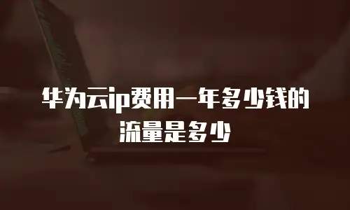 华为云ip费用一年多少钱的流量是多少